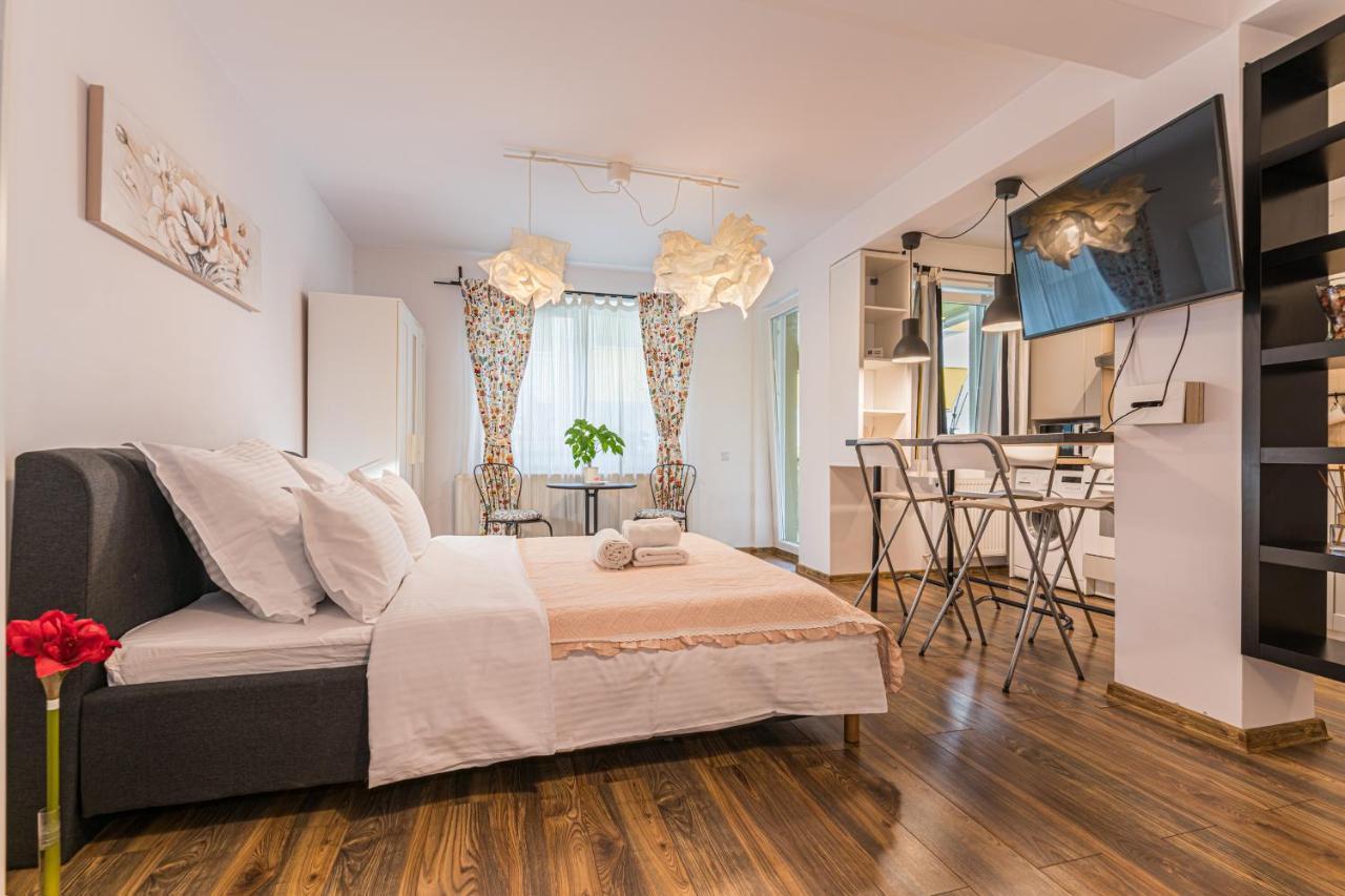 Alessia Home Studio Braşov Extérieur photo